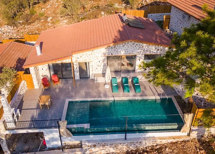 Amazing 1br Stone With Pool & Terrace Holiday home Gelemis